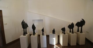 ‘Düşler Ülkesi: Troya