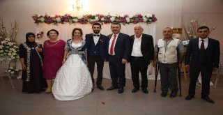 Gürcü Ve Ok Çiftinin Mutluluğu