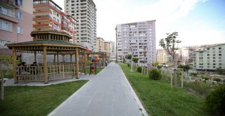 Şentepe Yeşilleniyor