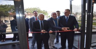 Sinopta 3 Boyutlu Kağıt Rölyef Resim Sergisi Açıldı