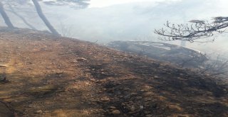 Kaza Yapan Araç 20 Hektar Ormanı Kül Etti