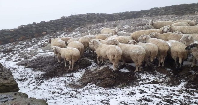 Aydına Yılın İlk Karı Düştü
