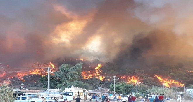 Antalyada Orman Yangının Felaketi Fotoğraflara Yansıdı