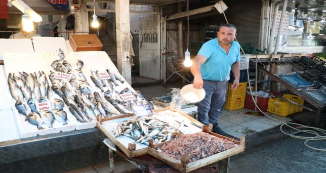 Balıkçılar 1 Eylülde Vira Bismillah Diyecek