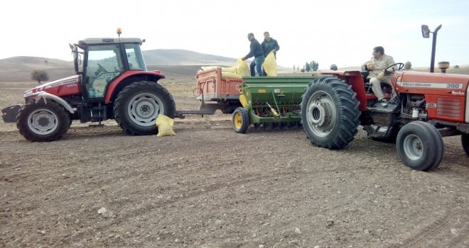Yerköyde 500 Bin Dekar Alanda Hububat Ekimi Yapılacak