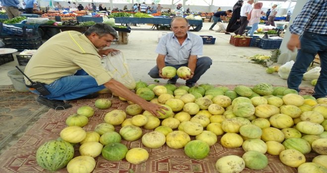Hisarcıkta Yerli Kavun Rağbet Görüyor