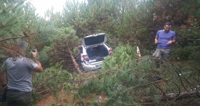 Yoldan Çıkan Otomobil Ağaçların Arasına Daldı
