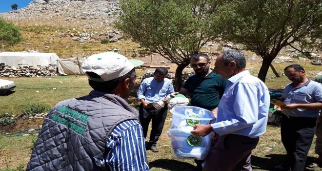 Akından Söğütlü Ve Boruka Ziyaret