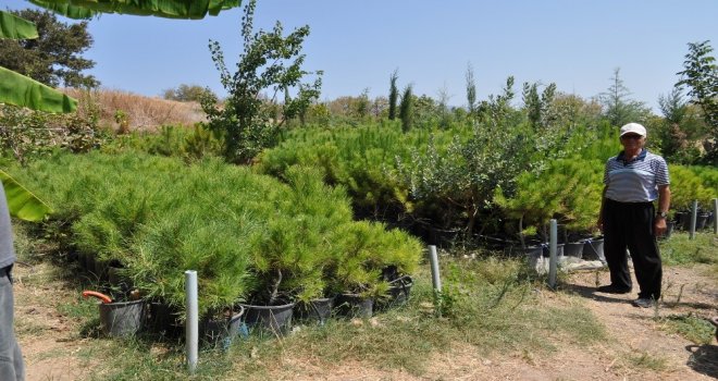 Doğa Tutkunu Ali Ayseverden Örnek Davranış