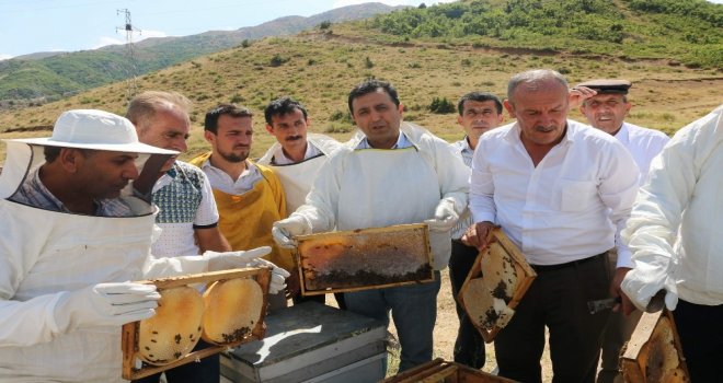 Siirtte Yılın İlk Balı Toplandı