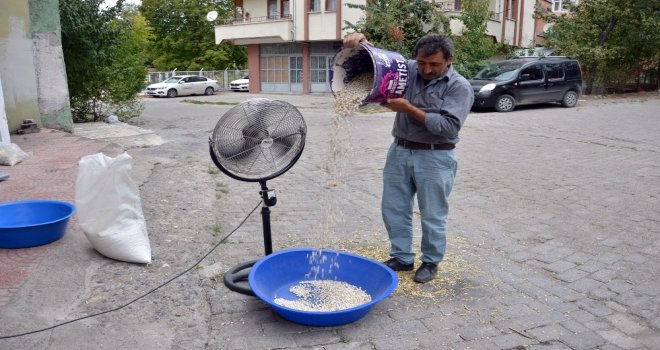 Fasulye Hasadında Rüzgar Olmayınca Vantilatör Kullandı