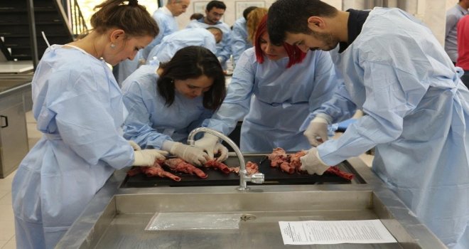 Paüde “Postmortem Kalp Okulu” Adlı Eğitim Çalışması Yapıldı
