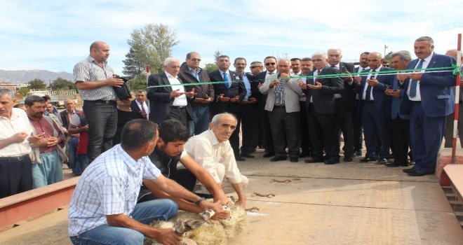 Elazığda Pancar Alım Kampanyası Başladı