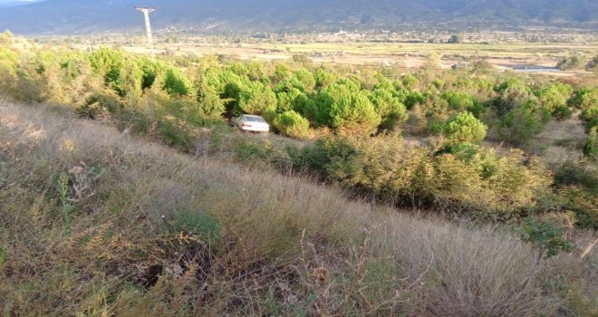 Yoldan Çıkan Otomobil Ağaçlık Alana Uçtu: 3 Yaralı
