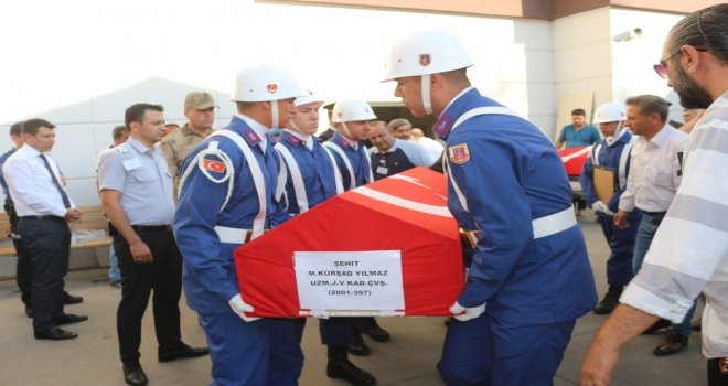 Morgdan Alınan Şehitler Tören Alanına Götürüldü