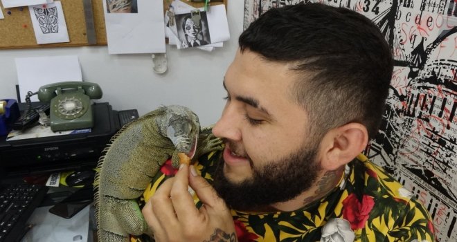 İş Yerinde Beslenen İguana İlgi Odağı Oldu