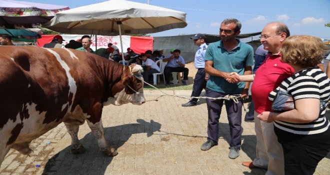 Efelerde Kurban Kesim Yerleri Belirlendi