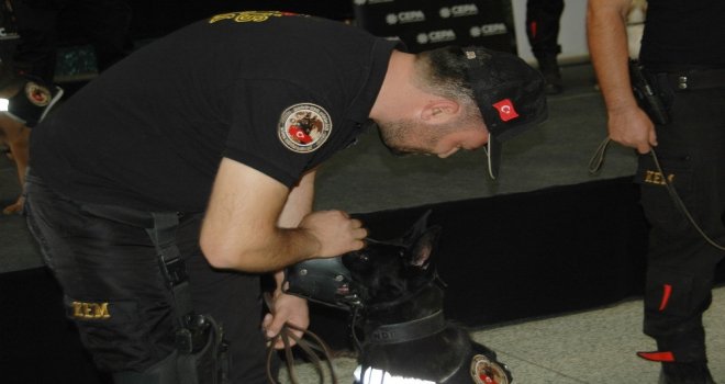 Dedektör Köpekler Halkla Buluştu