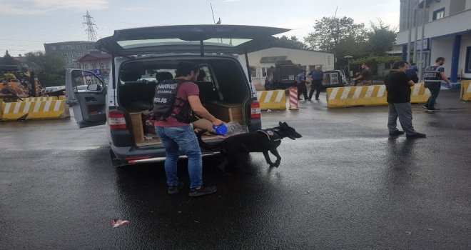 İstanbul Genelinde ”Kurt Kapanı-23” Uygulaması Düzenleniyor