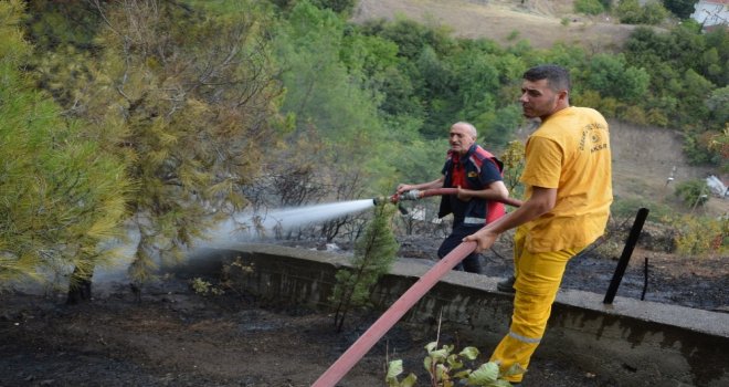 Niksarda Mezarlık Yangını