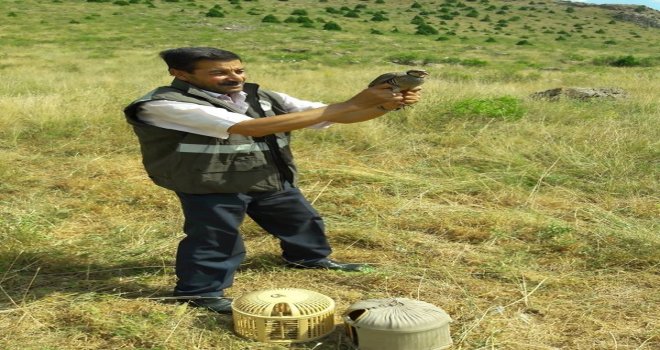 Kınalı Keklikler Yeniden Özgür