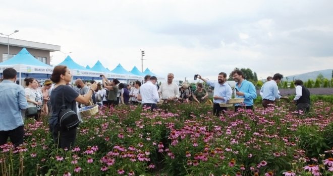 Balıkesir Aromatik Bitki Üretim Ve Eğitim Merkezi Oldu