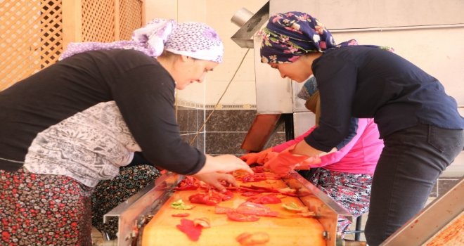 En Acı Yolculuk