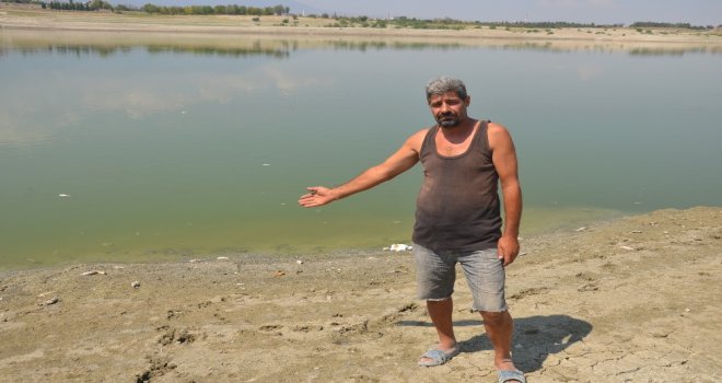Denizlide Baraj Göletinde Toplu Balık Ölümleri