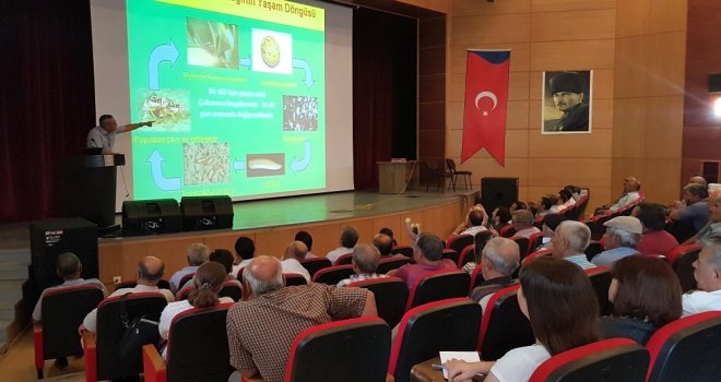 Mersinde Akdeniz Meyve Sineği Ve Sirke Sineği İle Mücadele Konferansı