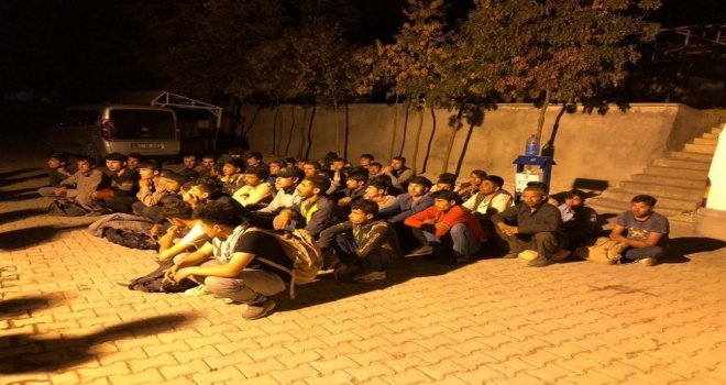 Vanda 52 Kaçak Göçmen Yakalandı