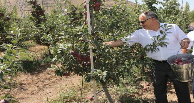 Başkan Öztürk: “Yahyalıda Elma Üretimi Modernleşmeli”
