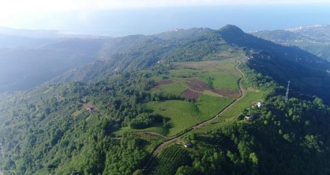 Dağın Tepesinde Kurulacak Olan Organize Sanayi Bölgesini Tanıttılar