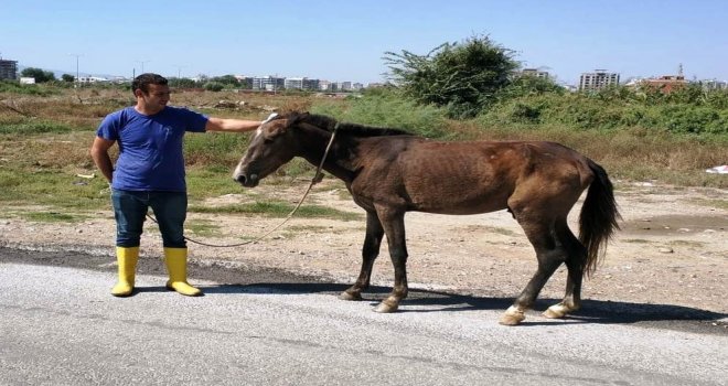 Yaralı Ata Aydın Büyükşehir Sahip Çıktı