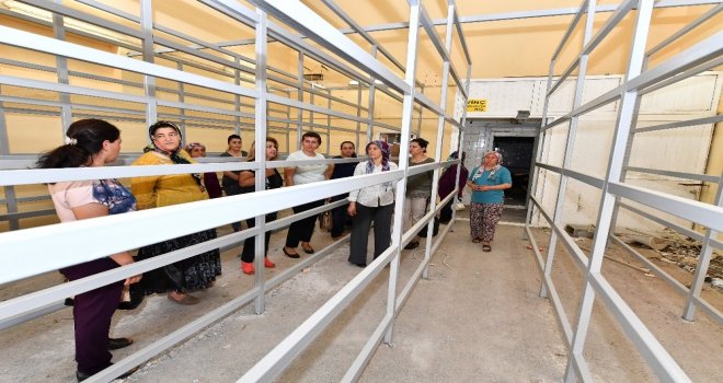 İstiridye Mantarı Yetiştiren Kadınlar Artık İş Dünyasında