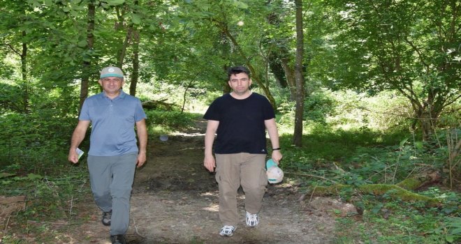 İğneada Longoz Ormanları Milli Parkı İncelendi
