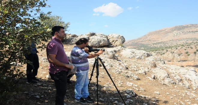 Adıyamanın Biyolojik Envanteri Çıkartıldı