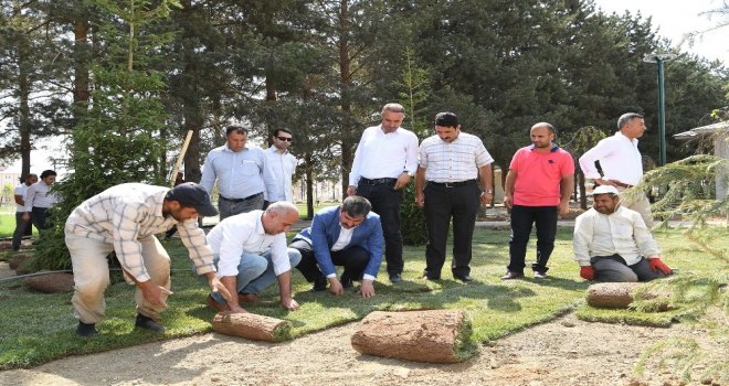 Göletli Parkta Yeşillendirme Çalışması