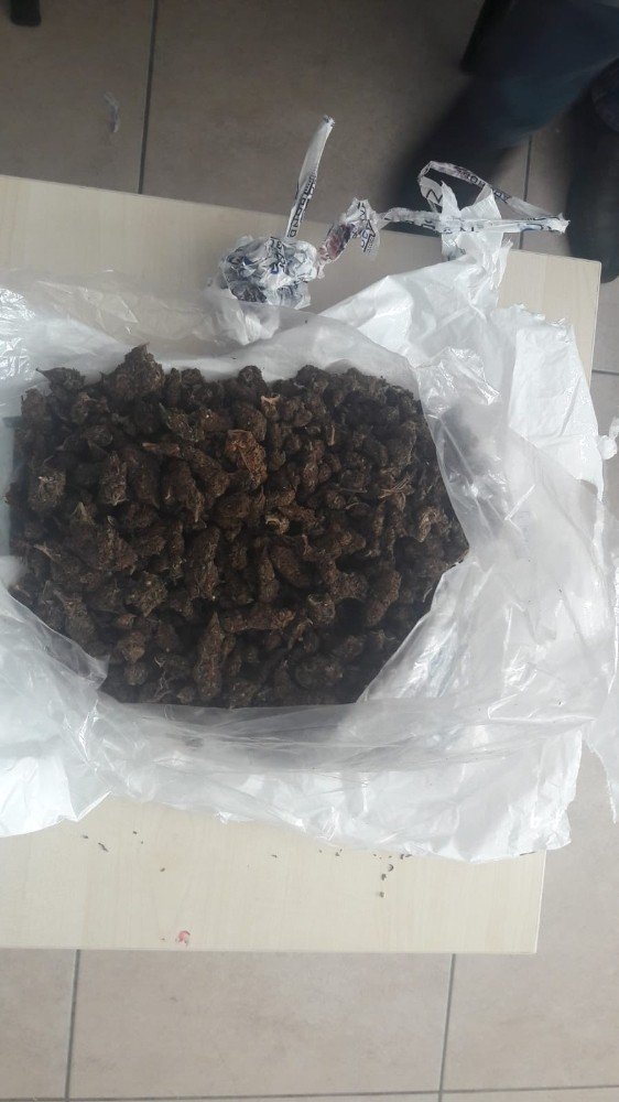 Uyuşturucu Satıcıları Yakalandı
