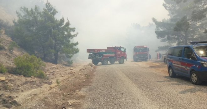 Antalyada Orman Yangını (1)
