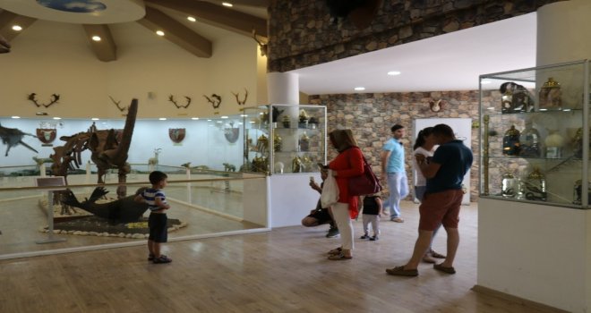 Gaziantep Zooloji Ve Doğa Müzesine Yoğun İlgi