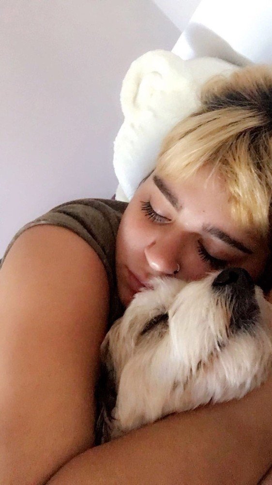 Antalyada Üniversite Öğrencisinin Köpeğini Bulana Ödül