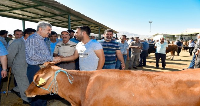 Büyükşehir, Hayvan Pazarında Önlemler Aldı