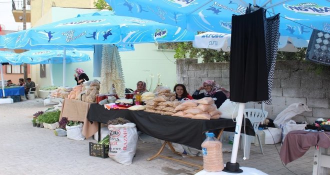 Karacabeyde Ihlamur Festivali Coşkusu