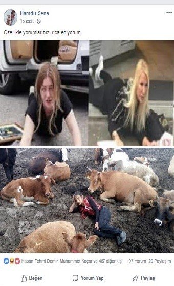 Hamdu Senadan Failling Stars Akımına ‘İnekli Gönderme