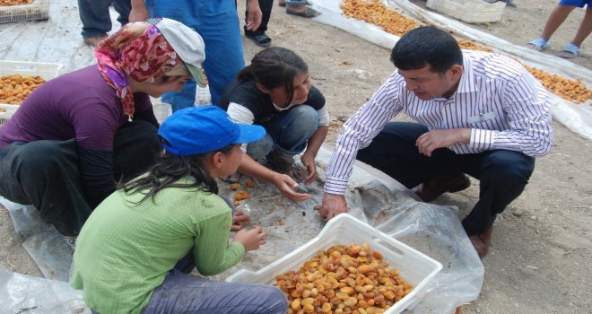 Ağbabadan Mevsimlik Tarım İşçileri İçin Araştırma Önergesi