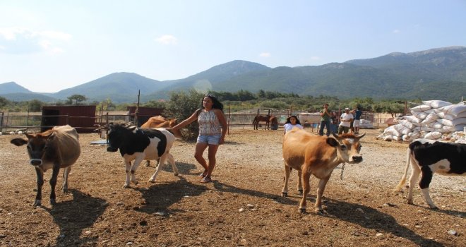 Sibelin Çiftliği