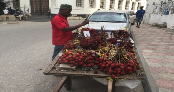 (Özel Haber) Tanzanyanın Asil Meyvesi: “Rambutan”