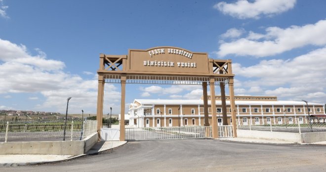 Çorumda Binicilik Tesisi Hizmete Giriyor