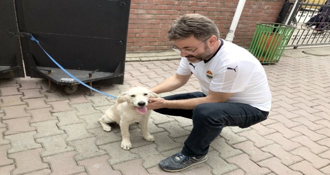 Polisin ‘Şefkati
