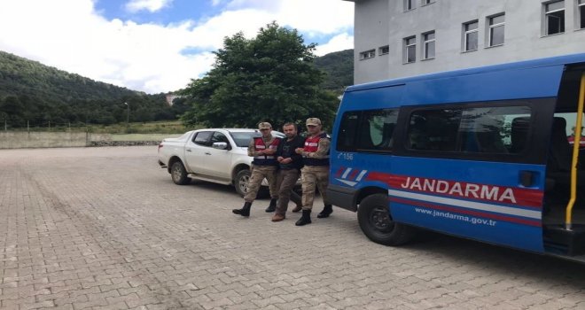 Seri Katil Trabzona Nakledildi